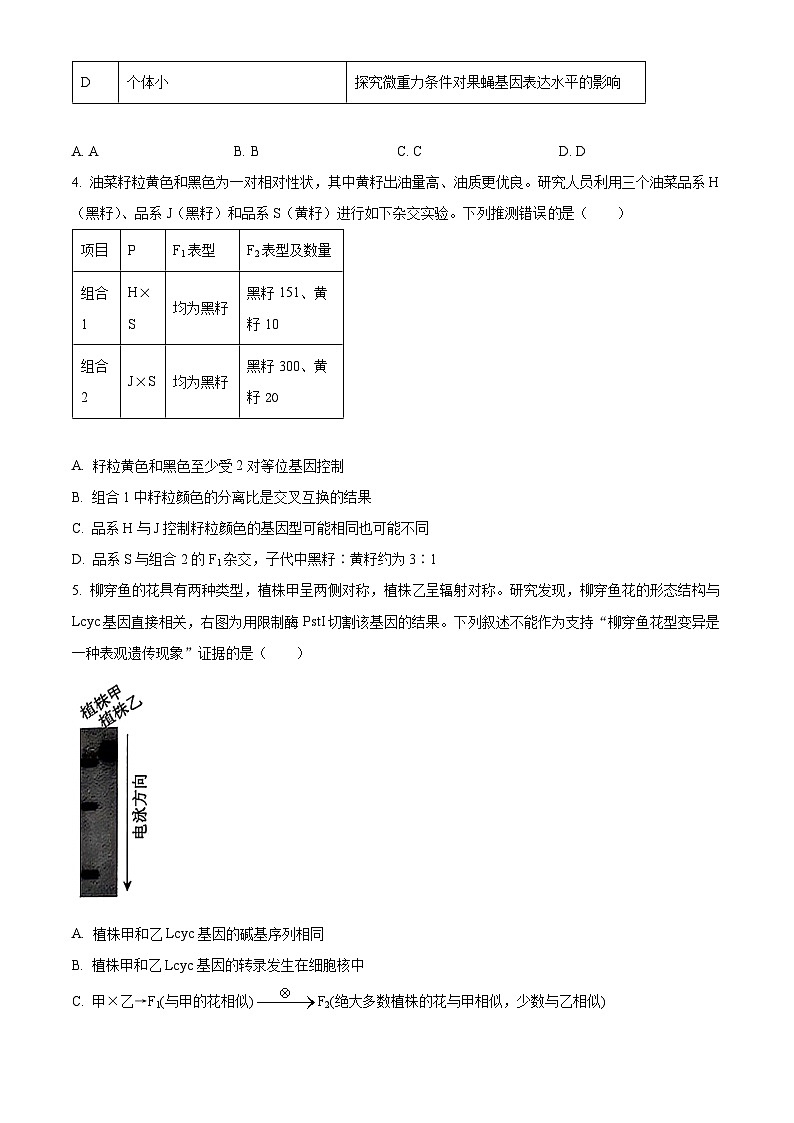 北京市海淀区2024-2025学年高三上学期1月期末考试生物试卷  Word版无答案第2页