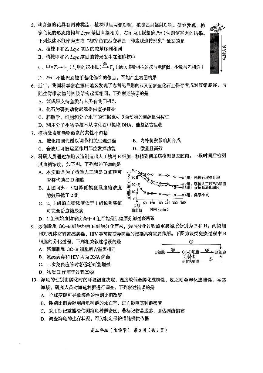 北京市海淀区2024-2025学年上学期高三期末练习生物第2页