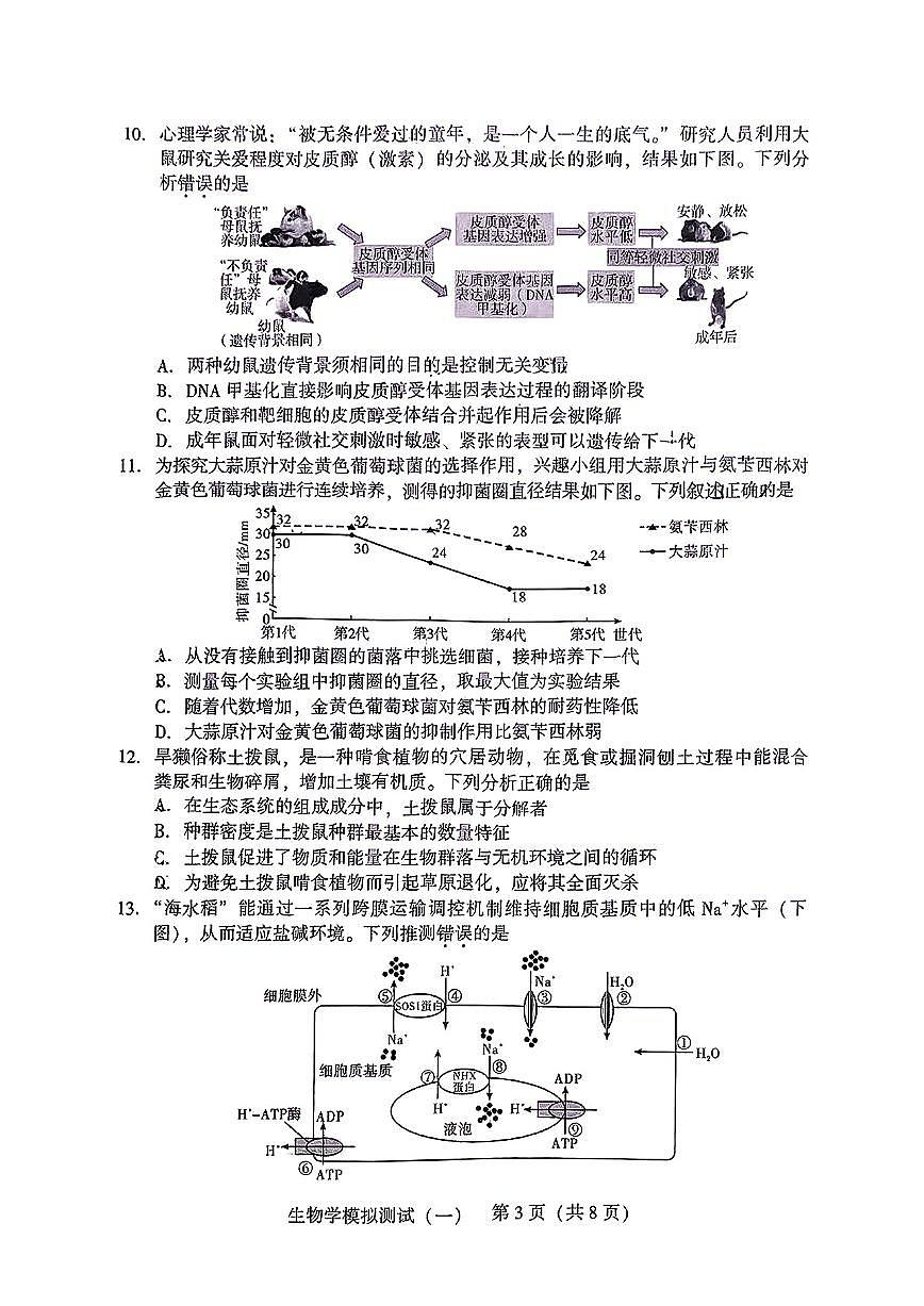 2025届广东高三高考模拟一模生物试卷无答案第3页