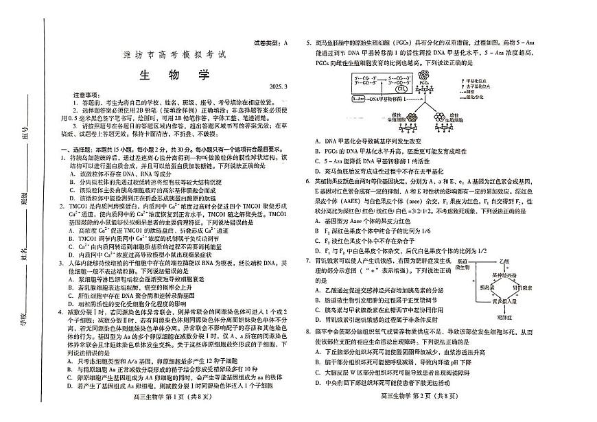 2025潍坊高三高考模拟一模生物试题+答案第1页