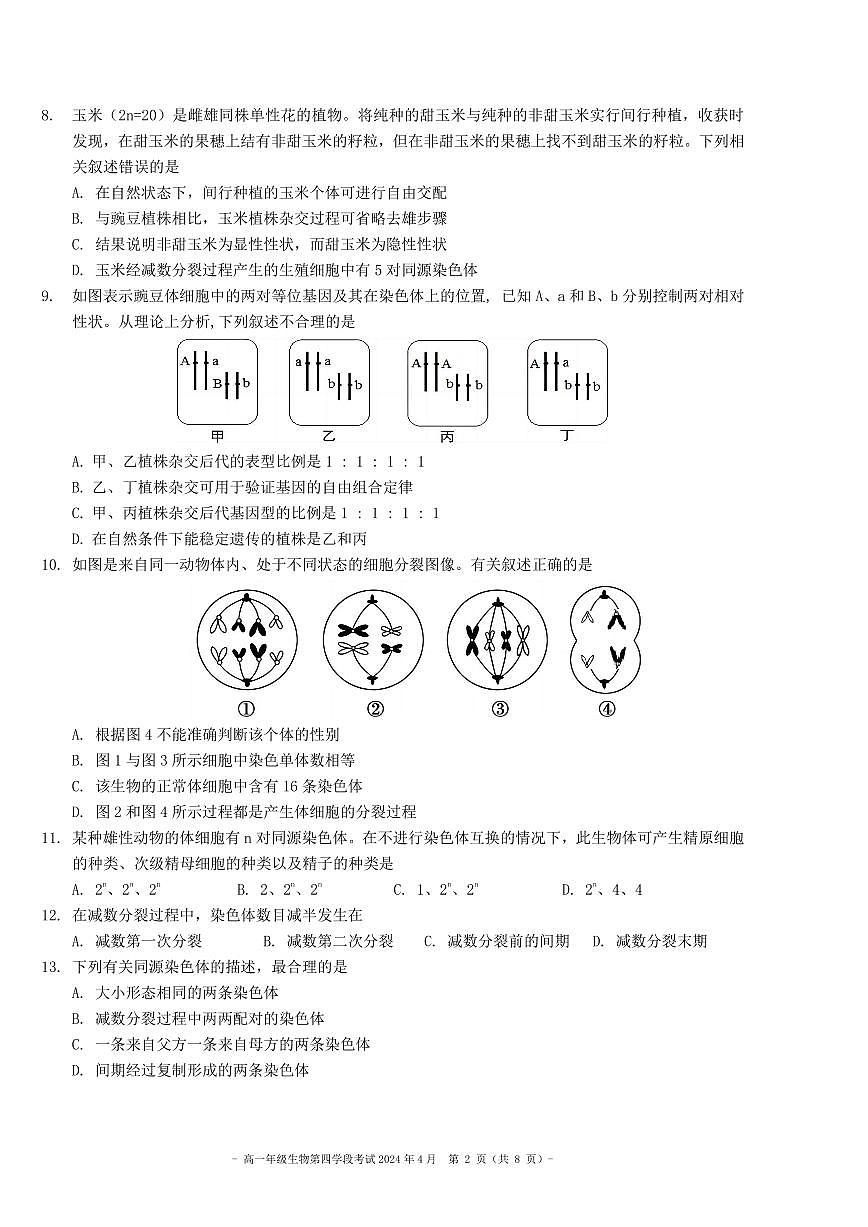 2024北京二中高一（下）段考四生物试卷（教师版）第2页
