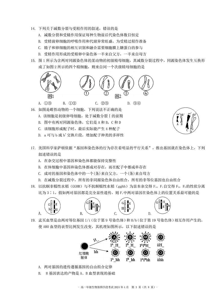 2024北京二中高一（下）段考四生物试卷（教师版）第3页