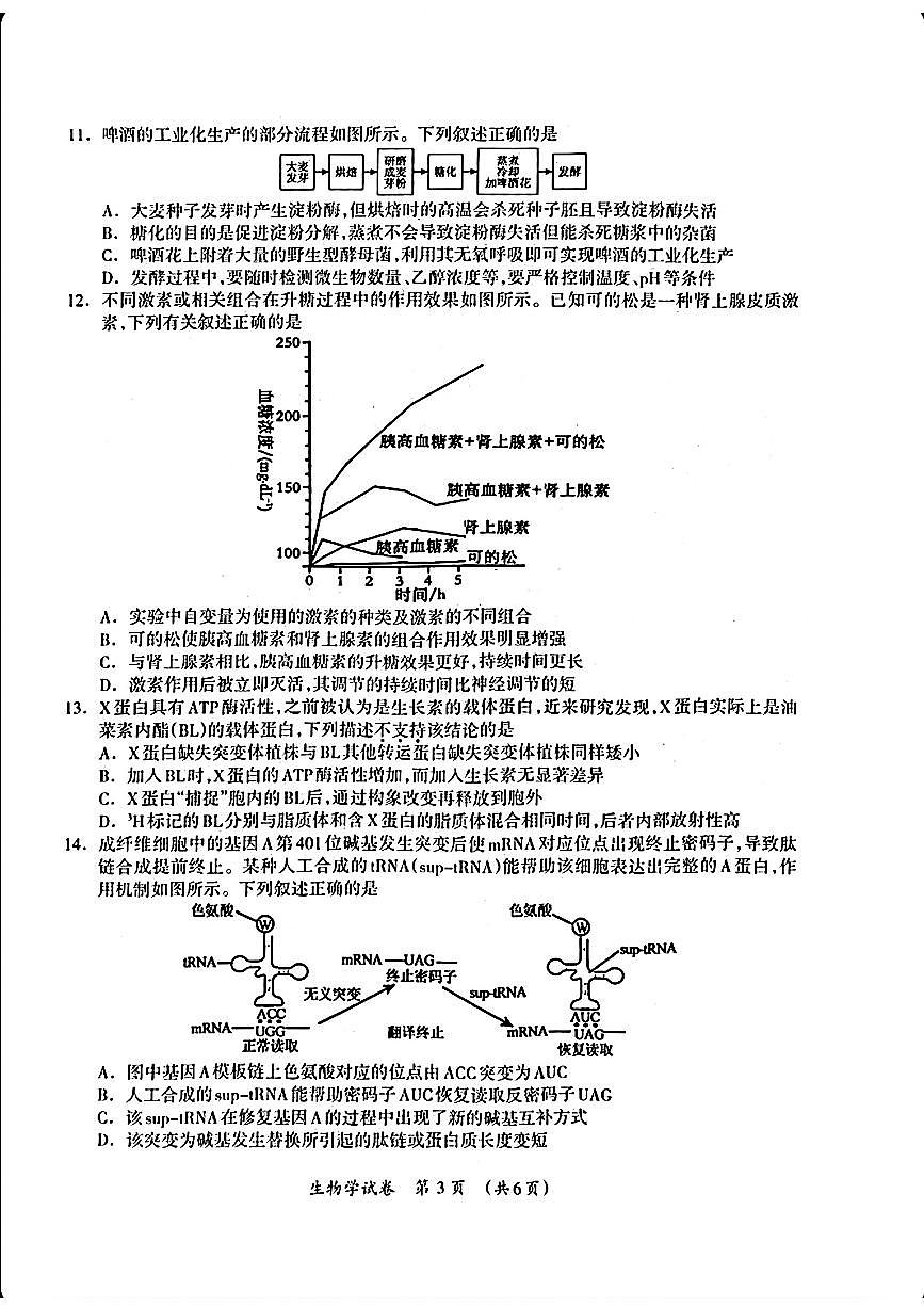 广西壮族自治区2025届高三下学期3月第二次适应考-生物试题+答案第3页