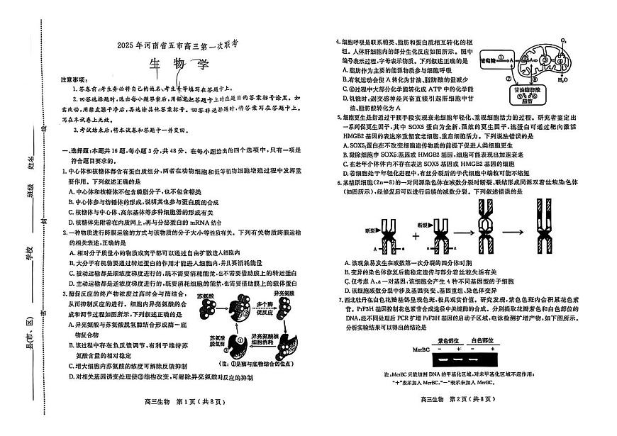 河南省五市联考2025届高三下学期3月第一次联考-生物试题+答案第1页