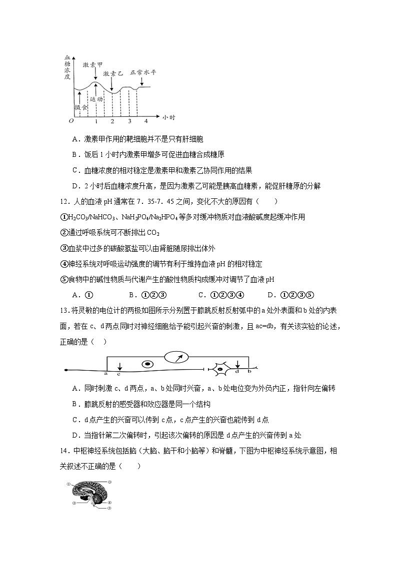 安徽省六安市独山中学2024-2025学年高二下学期2月月考生物学试题（含答案）第3页