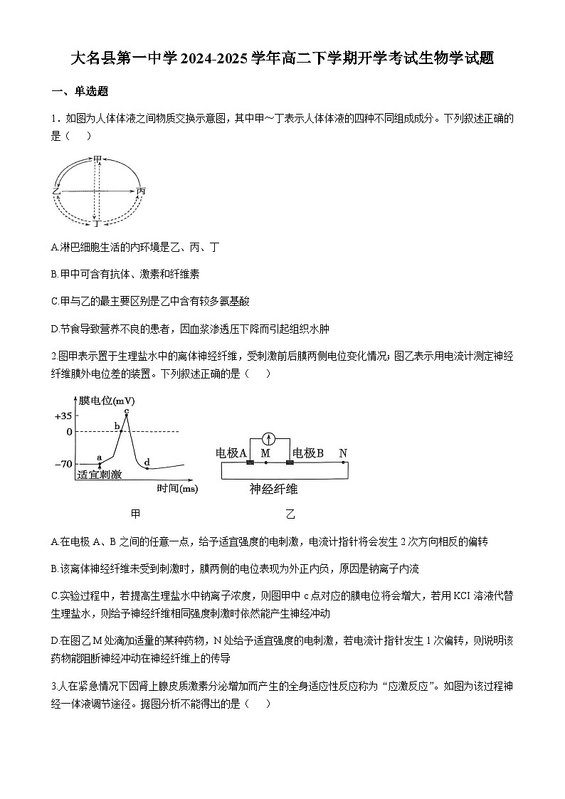 河北省邯郸市大名县第一中学2024-2025学年高二下学期开学考试 生物试题（含答案）第1页