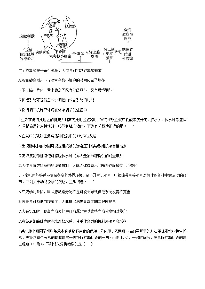 河北省邯郸市大名县第一中学2024-2025学年高二下学期开学考试 生物试题（含答案）第2页
