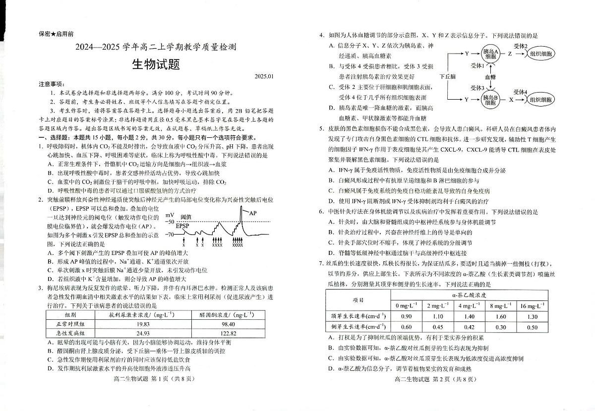 山东省菏泽市2024-2025学年高二上学期1月期末考试  生物（含答案）第1页
