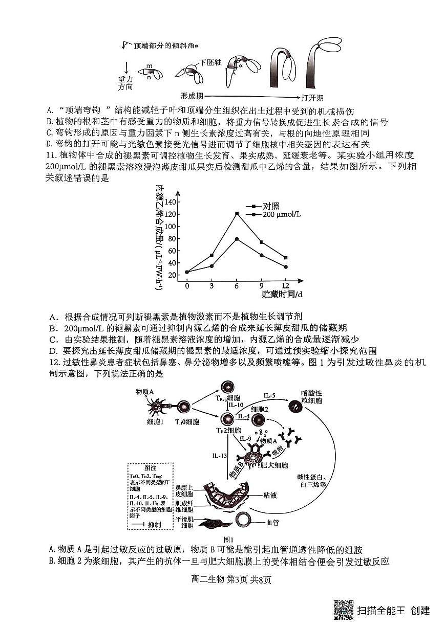 重庆巴蜀中学校2024-2025学年高二上学期期末考试生物试题 生物（含答案）第3页