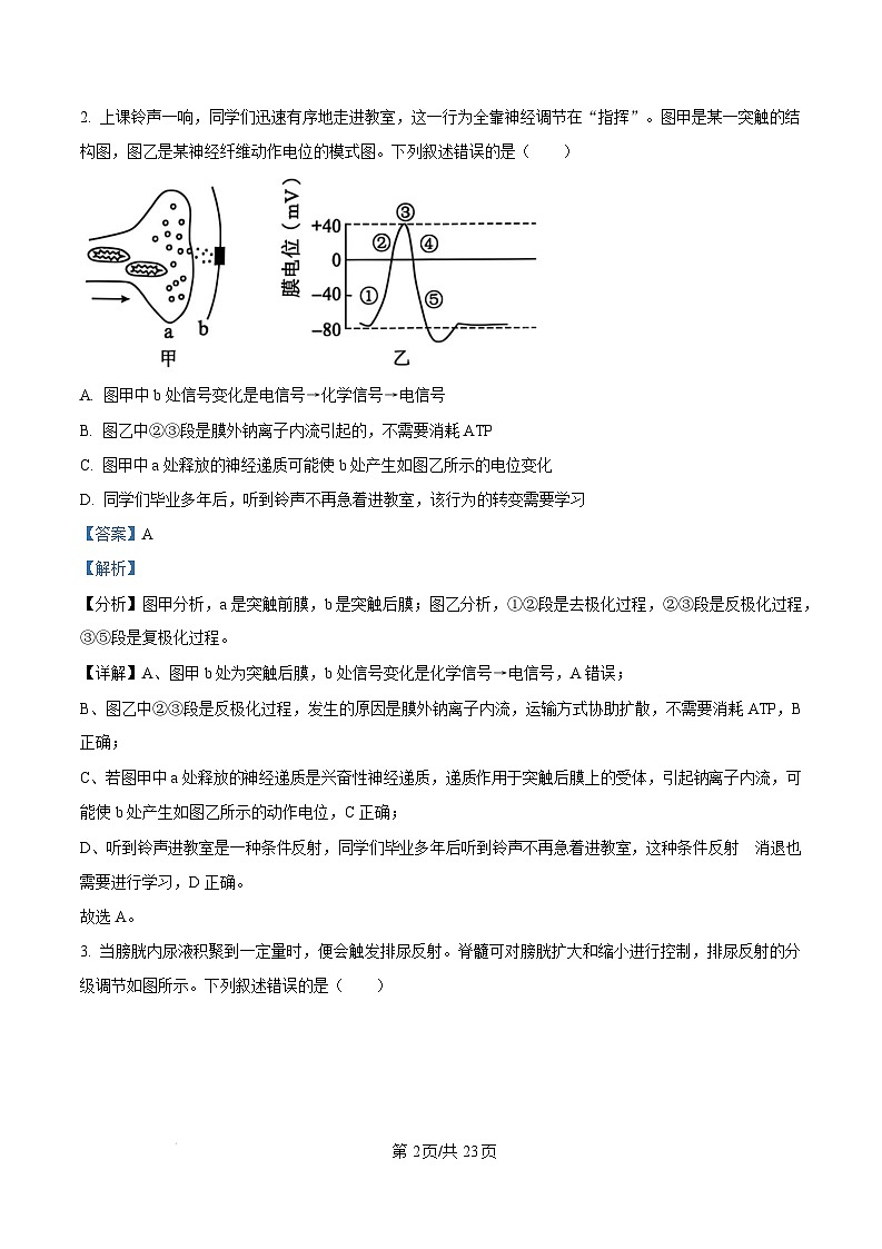湖南省永州市2024-2025学年高二上学期期末质量监测生物试题（含答案）第2页