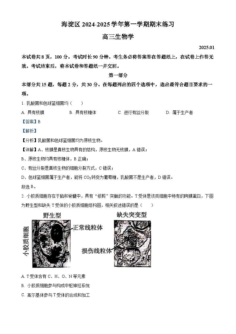 北京市海淀区2024-2025学年高三上学期1月期末考试生物试卷 含解析第1页
