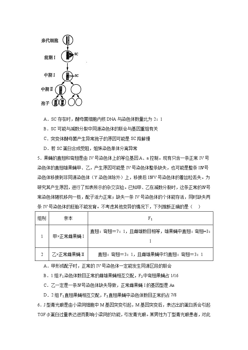 山东省名校考试联盟2024-2025学年高三下学期3月高考模拟考试生物试题（无答案解析）第2页