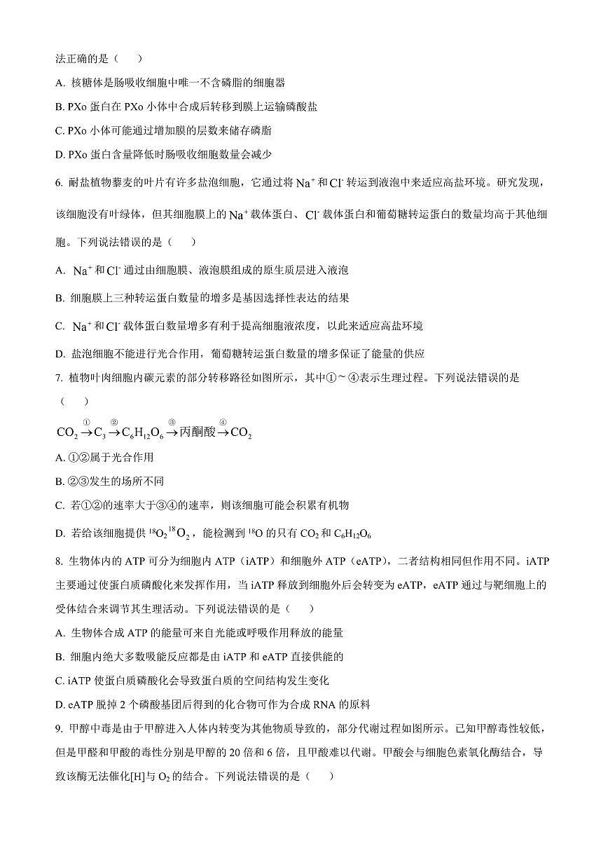 生物开学测试习题(1)第2页
