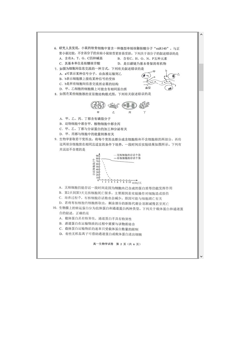 贵州省贵阳市2023-2024学年高一上学期期末考试 生物 含答案第2页