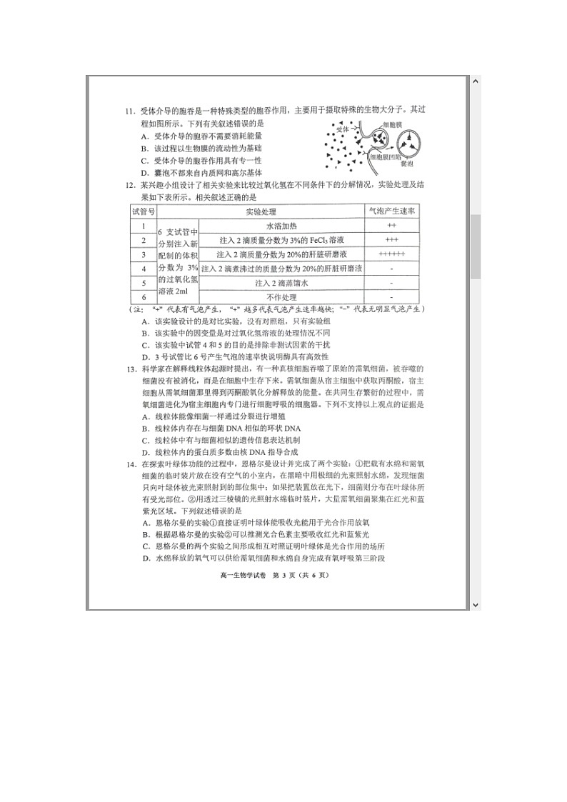 贵州省贵阳市2023-2024学年高一上学期期末考试 生物 含答案第3页