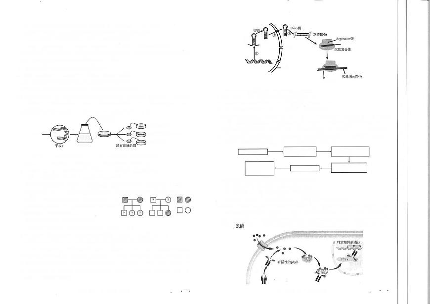 生物丨百万大联考金太阳25-4001C江西省2025届高三下学期3月生物试卷及答案第2页