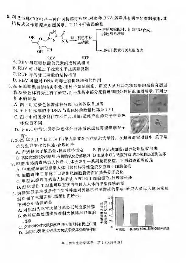 生物丨河北省唐山市2025届高三下学期3月学业⽔平选择性考试第⼀次模拟演练（唐山一模）生物试卷及答案第2页