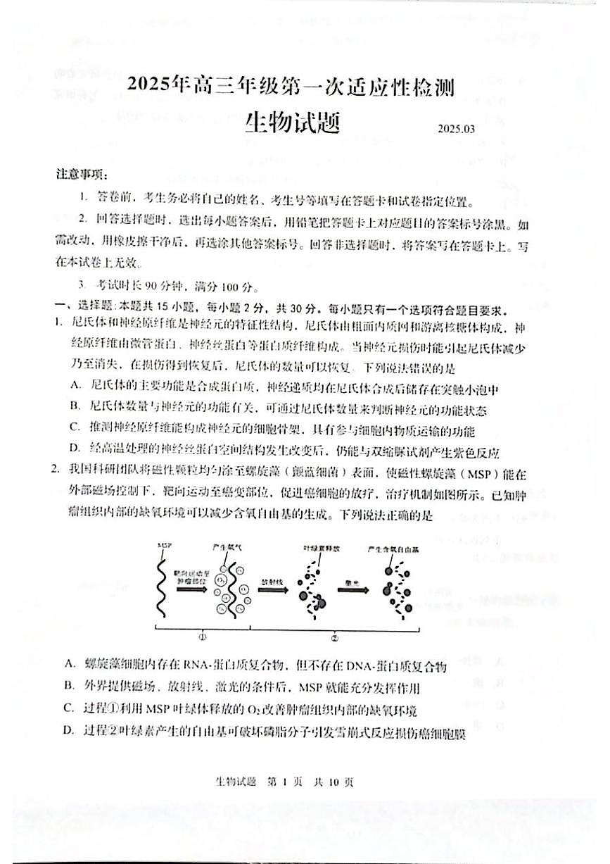 生物丨山东省青岛市2025届高三下学期3月第一次适应性检测生物试卷及答案第1页