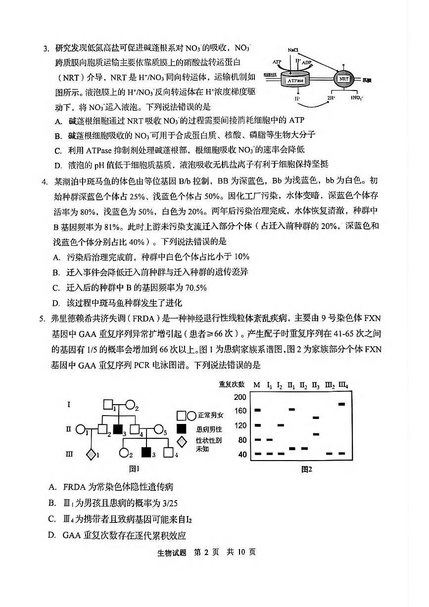 生物丨山东省青岛市2025届高三下学期3月第一次适应性检测生物试卷及答案第2页