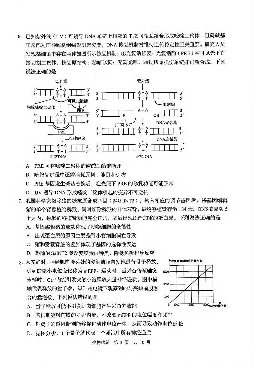 生物丨山东省青岛市2025届高三下学期3月第一次适应性检测生物试卷及答案第3页