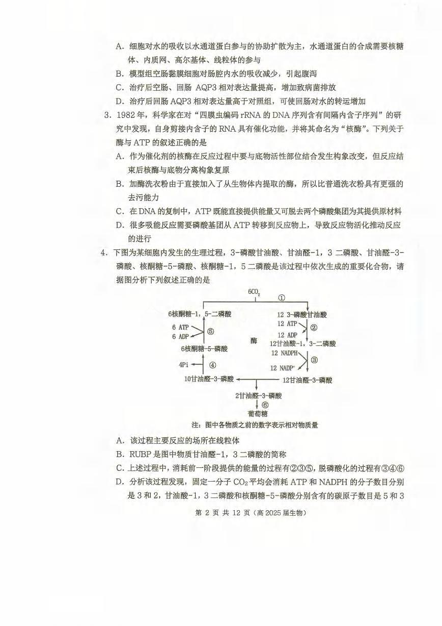 生物丨重庆市名校联盟2025届高三下学期3月第一次联合考试生物试卷及答案第2页