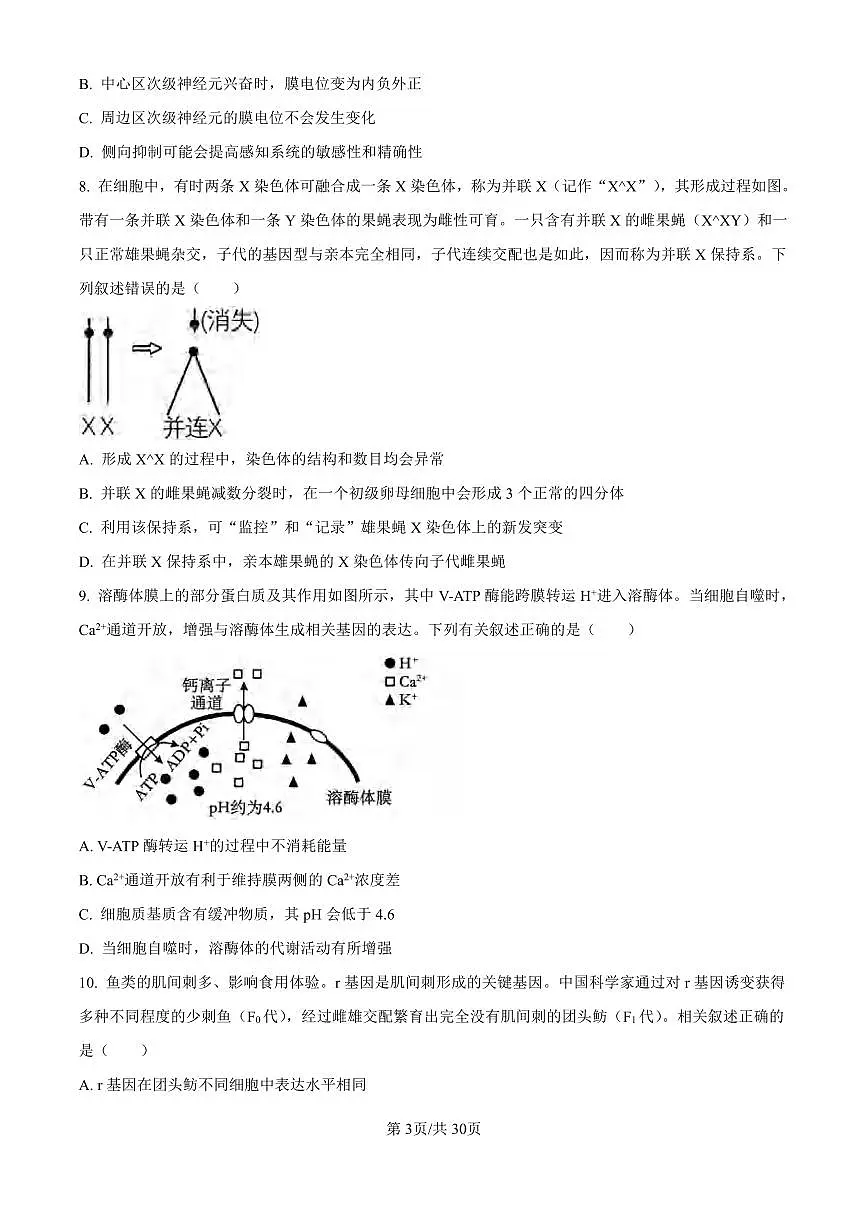 生物丨四川省乐山市第一中学校2025届高三下学期3月二模测试生物试卷及答案第3页