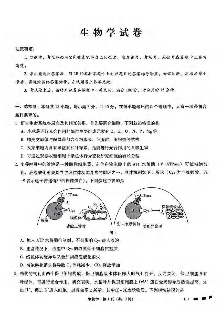 生物丨重庆市巴蜀中学2025届高三下学期3月适应性月考卷（六）生物试卷及答案第1页