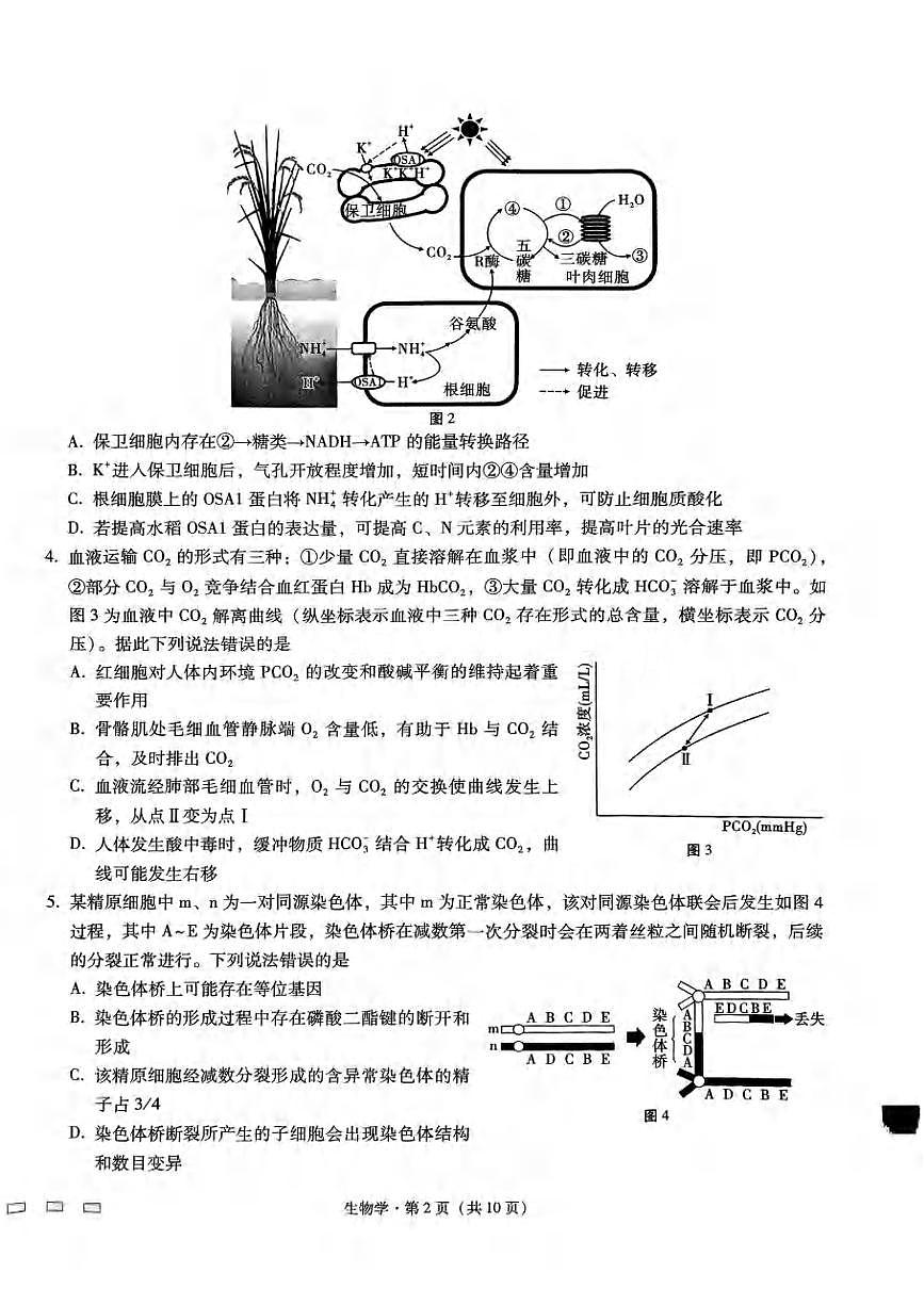 生物丨重庆市巴蜀中学2025届高三下学期3月适应性月考卷（六）生物试卷及答案第2页