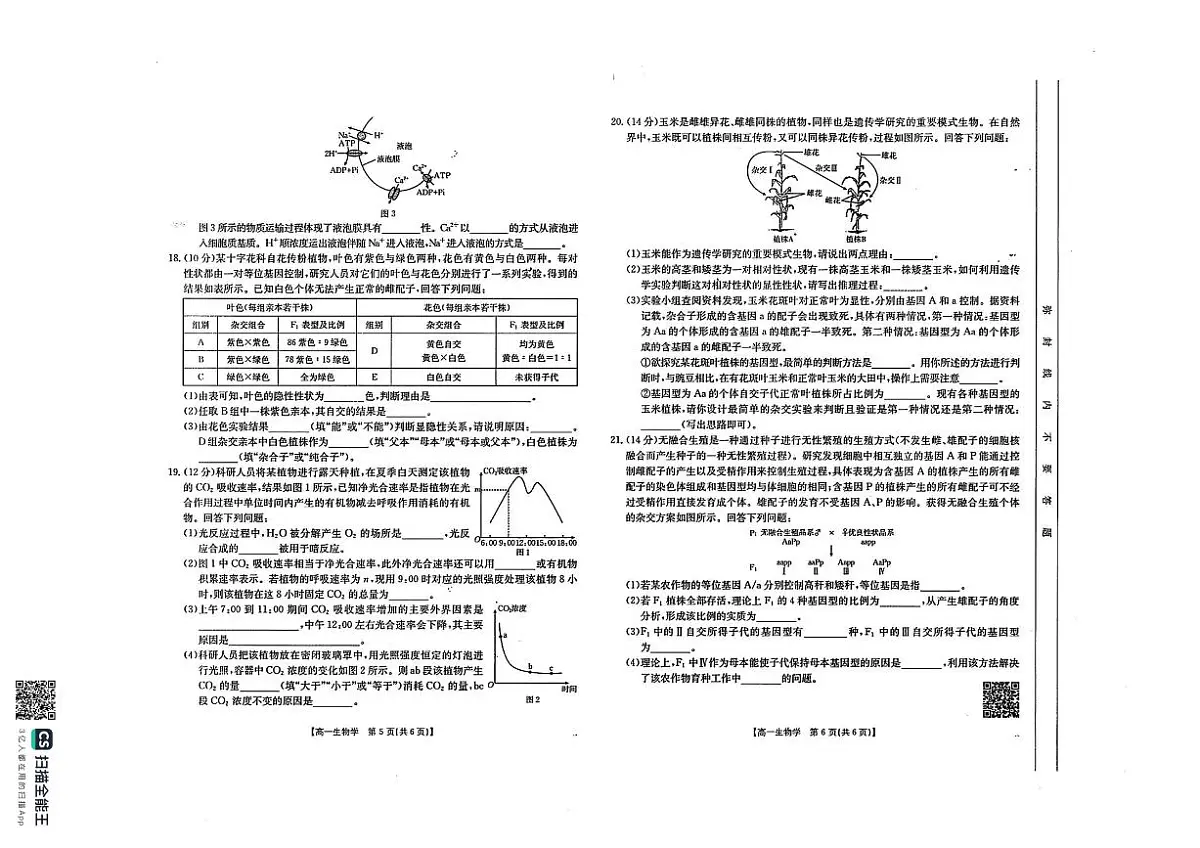 生物-江西省2024-2025下学期金太阳高一3月联考试题第3页