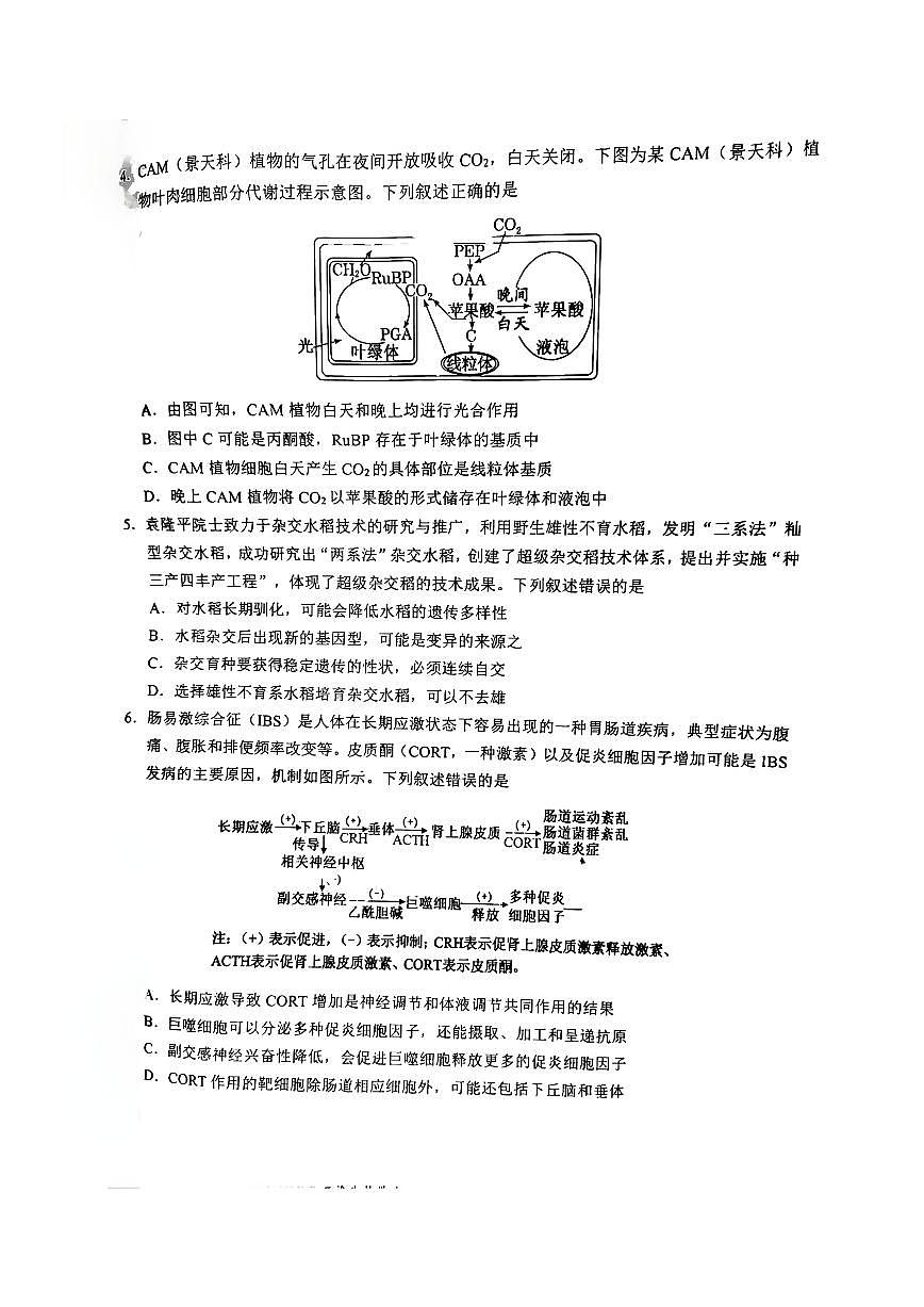 四川省宜宾市、乐山市、自贡市2025届高三高考模拟第二次诊断性测试-生物试题+答案第2页