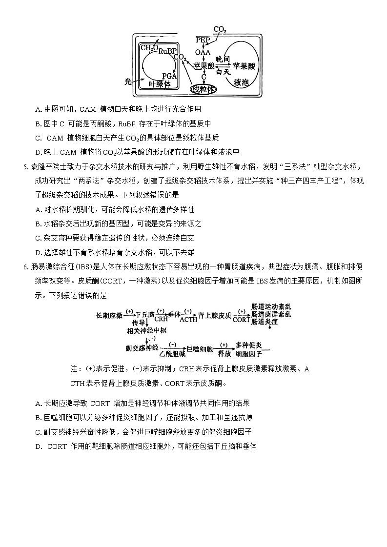 四川省自贡市2025届高三第二次诊断性测试生物学试题（有答案）第2页