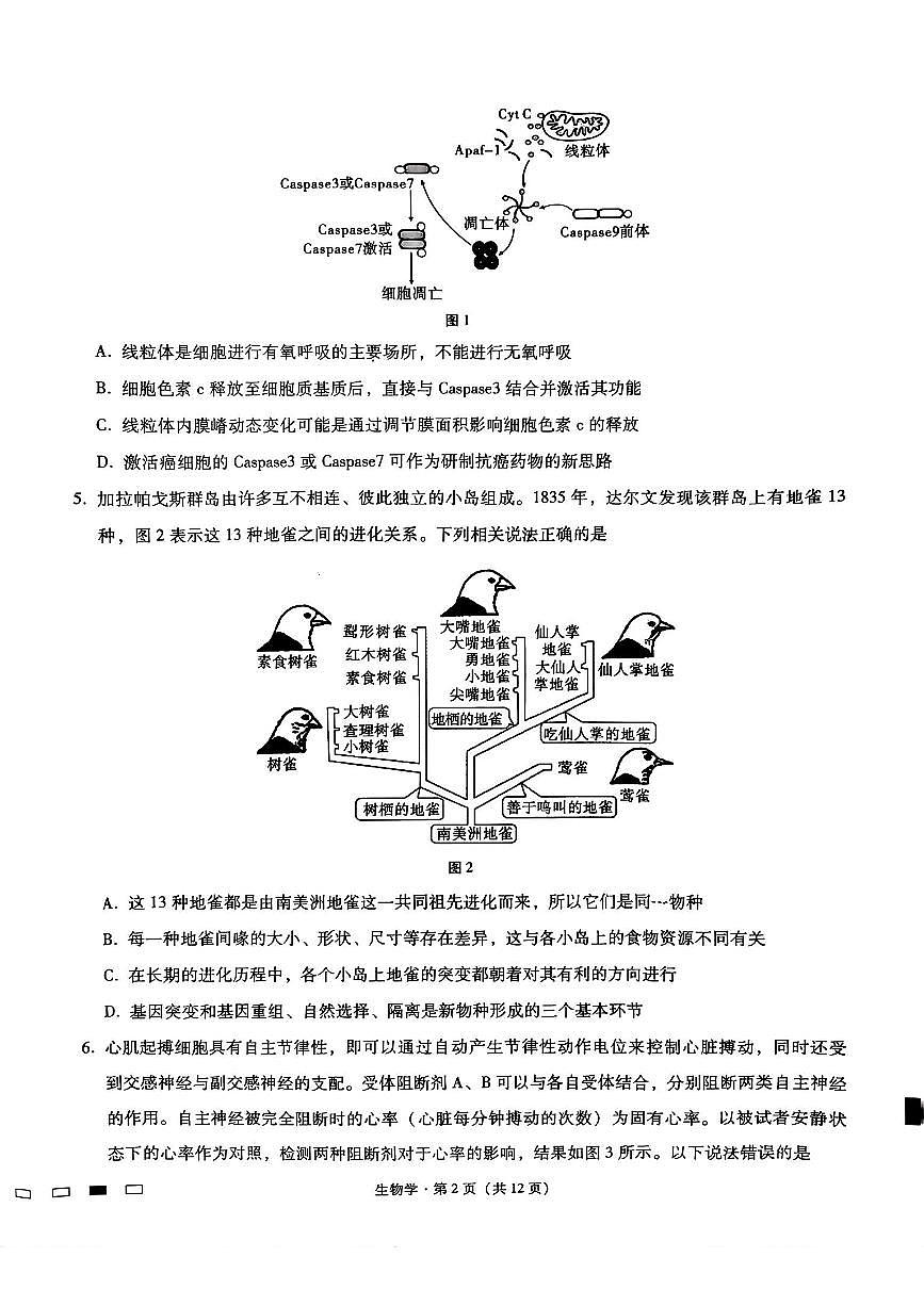 重庆市第八中学2025届高三3月适应性月考卷（六）生物第2页