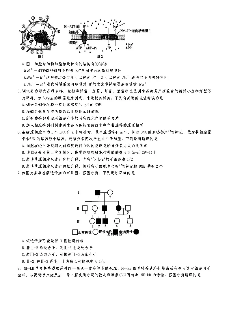 湖南省长沙市开福区湖南省长沙市第一中学2024-2025学年高三下学期3月月考生物试题第2页