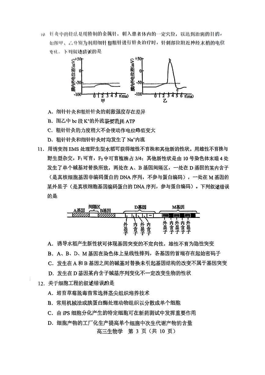 2025赤峰高三下学期3月二模试题生物PDF版含答案第3页