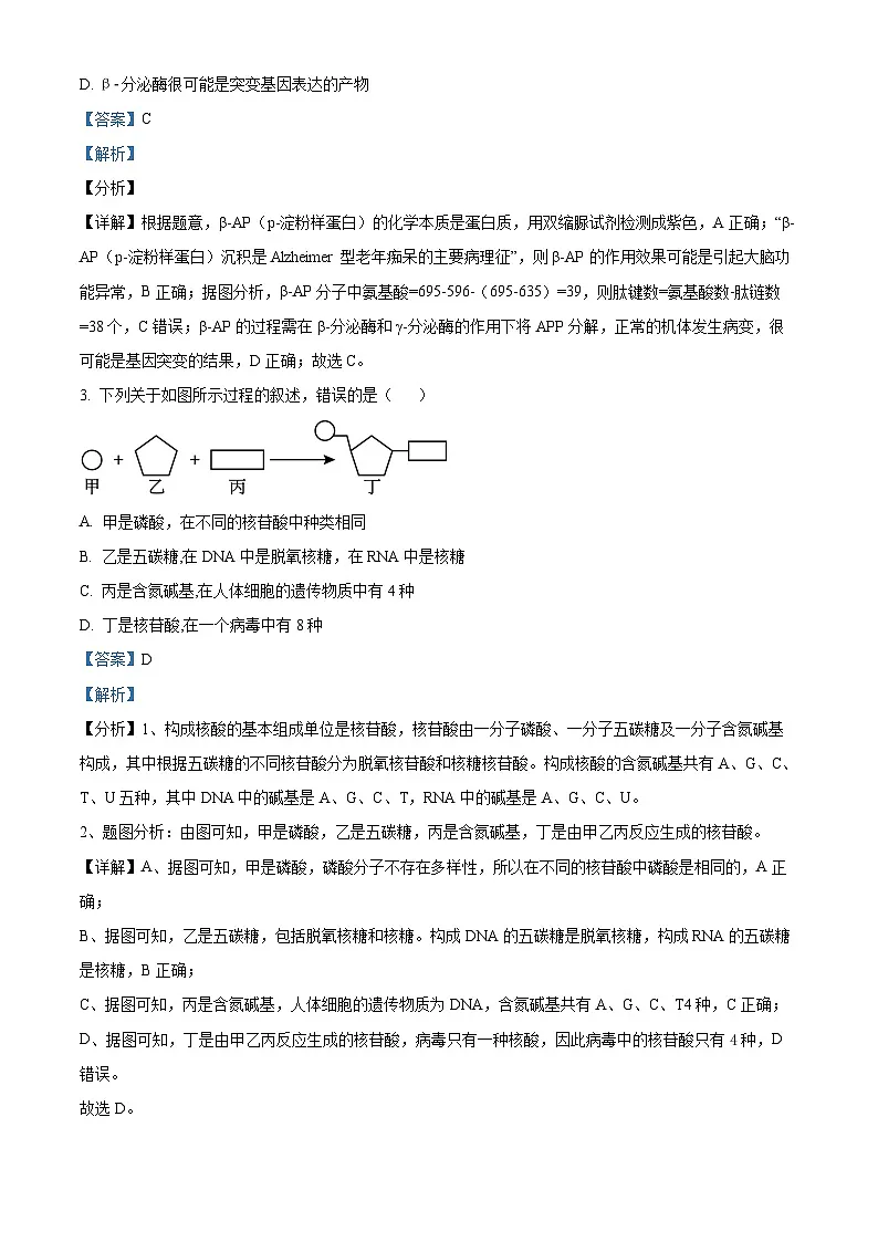 湖北省随州市部分高中2024-2025学年高一下学期3月月考生物试题含解析第3页