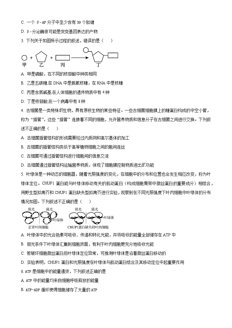 湖北省随州市部分高中2024-2025学年高一下学期3月月考生物试题（原卷版）第2页