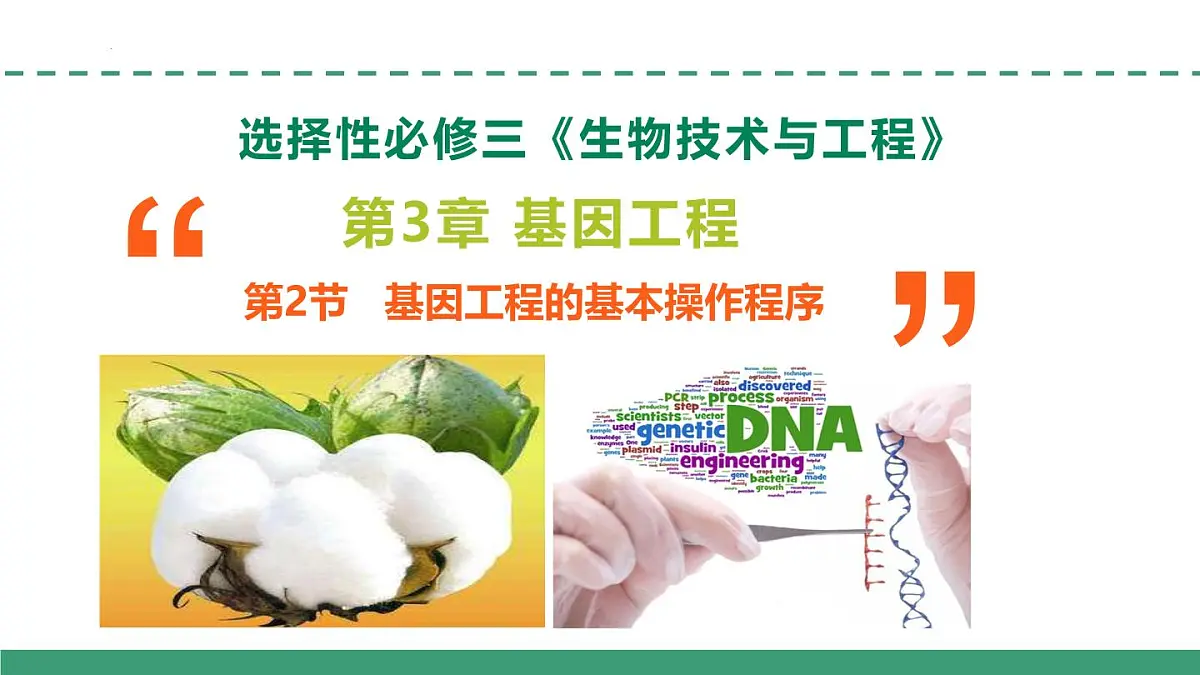 3.2 基因工程的基本操作程序（教学课件）-2024-2025学年高二生物（人教版2019选择性必修3）第1页
