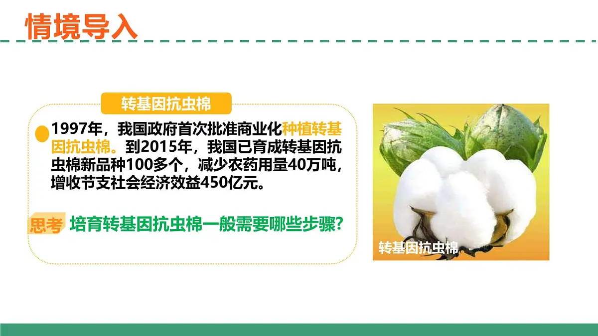 3.2 基因工程的基本操作程序（教学课件）-2024-2025学年高二生物（人教版2019选择性必修3）第2页