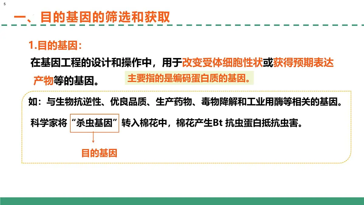 3.2 基因工程的基本操作程序（教学课件）-2024-2025学年高二生物（人教版2019选择性必修3）第5页