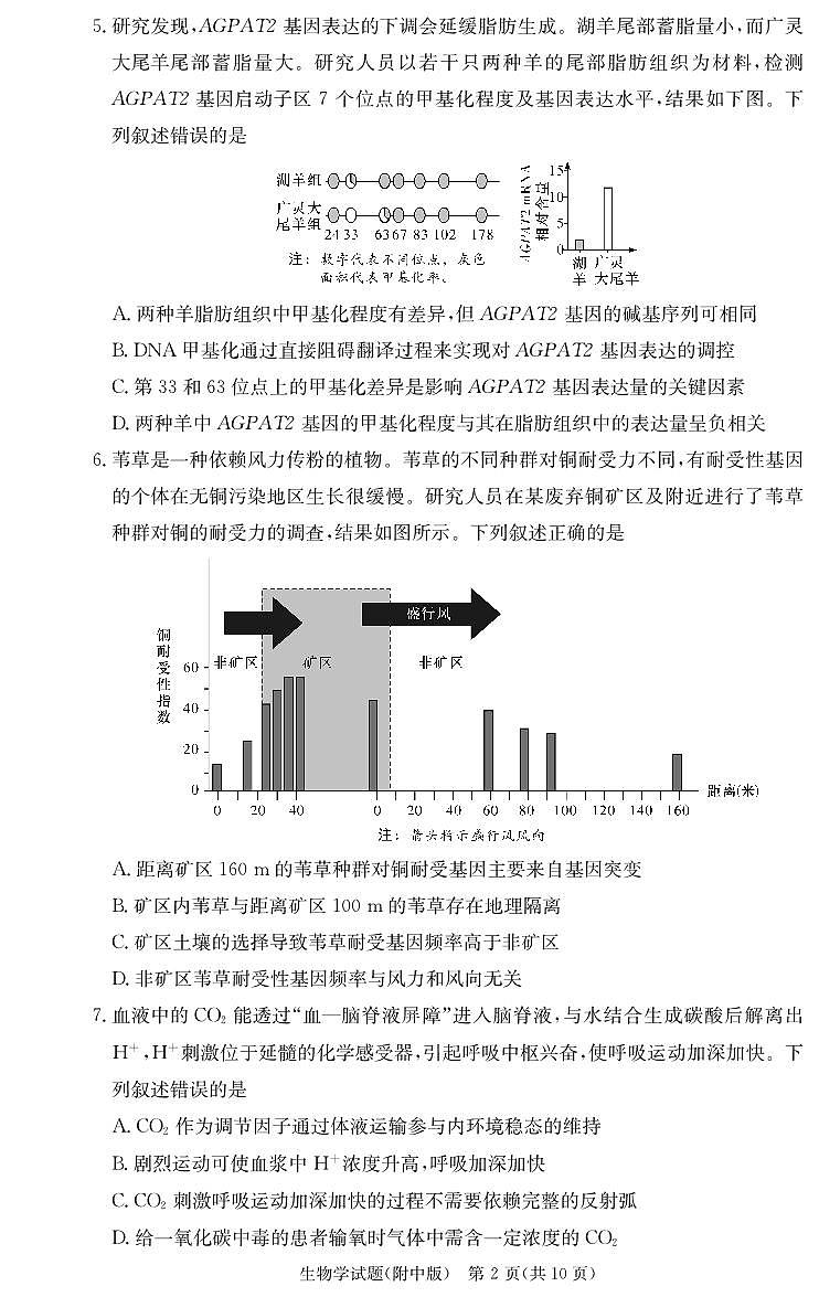 湖南师范大学附属中学2024-2025学年高三上学期月考卷（三）生物（附中高三3次）第2页