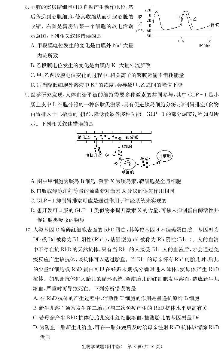 湖南师范大学附属中学2024-2025学年高三上学期月考卷（三）生物（附中高三3次）第3页