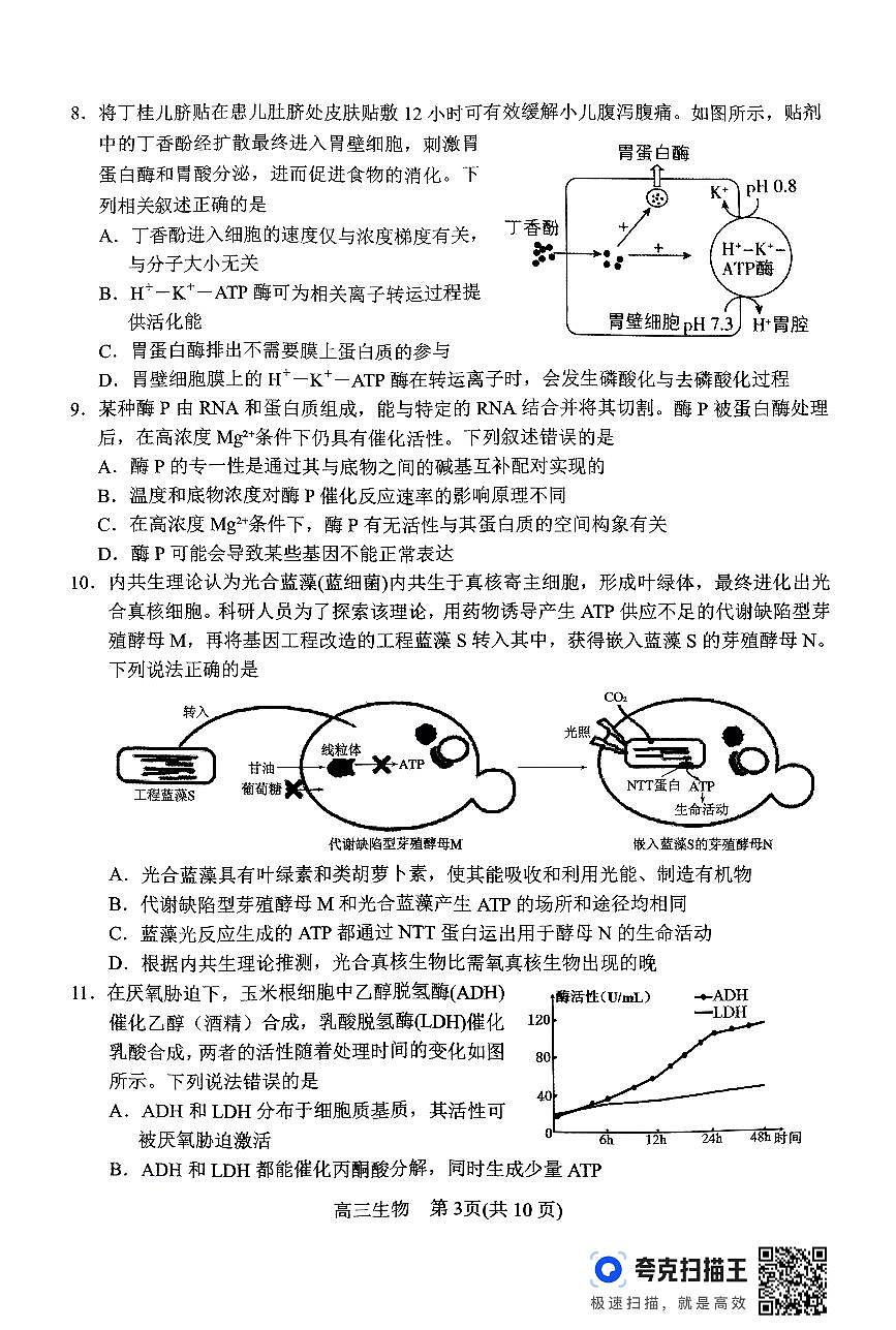 河南省南阳市2024-2025学年高三上学期11月期中考试生物试题第3页