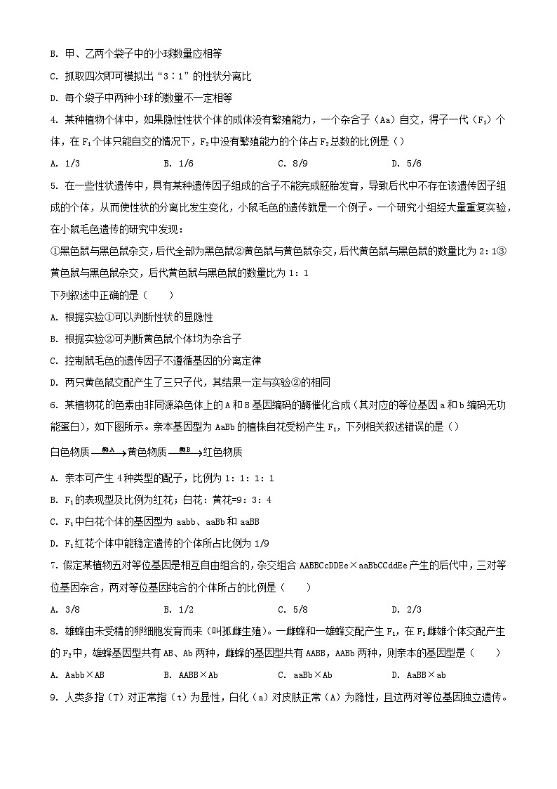 甘肃省武威市2023_2024学年高一生物下学期3月月考试题含解析第2页