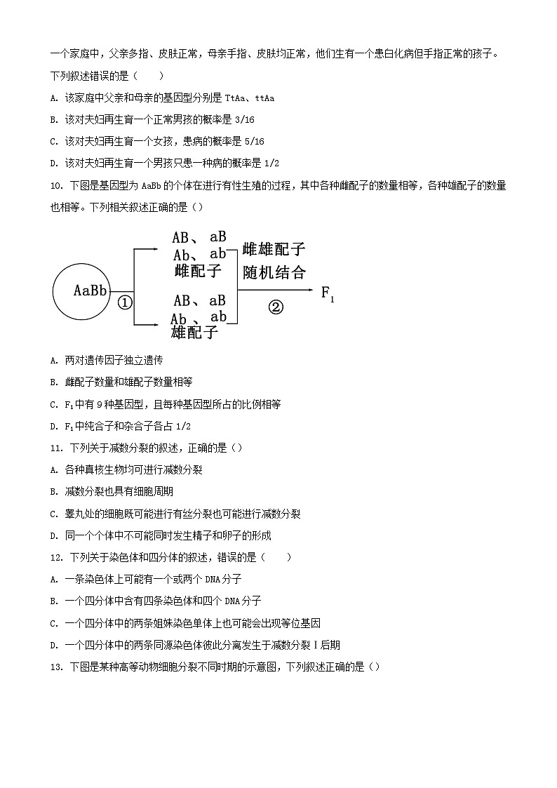 甘肃省武威市2023_2024学年高一生物下学期3月月考试题含解析第3页