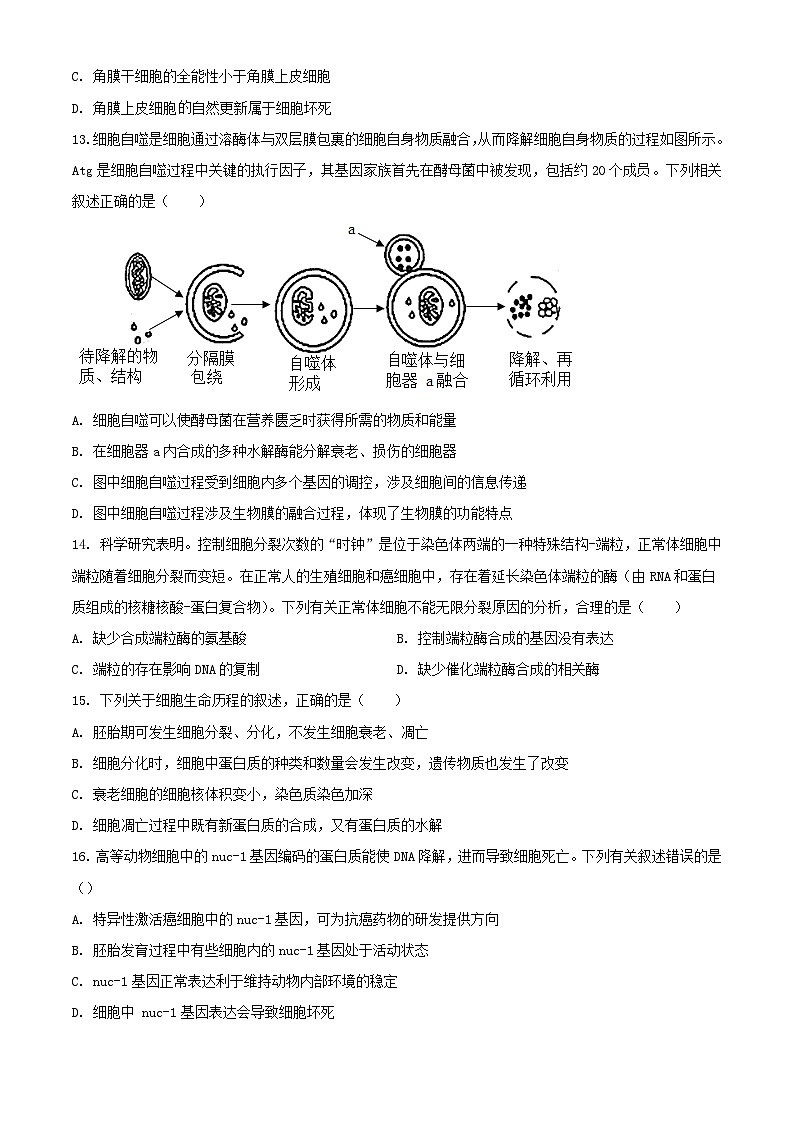广东省高州市2023_2024学年高一生物下学期3月月考试题含解析第3页