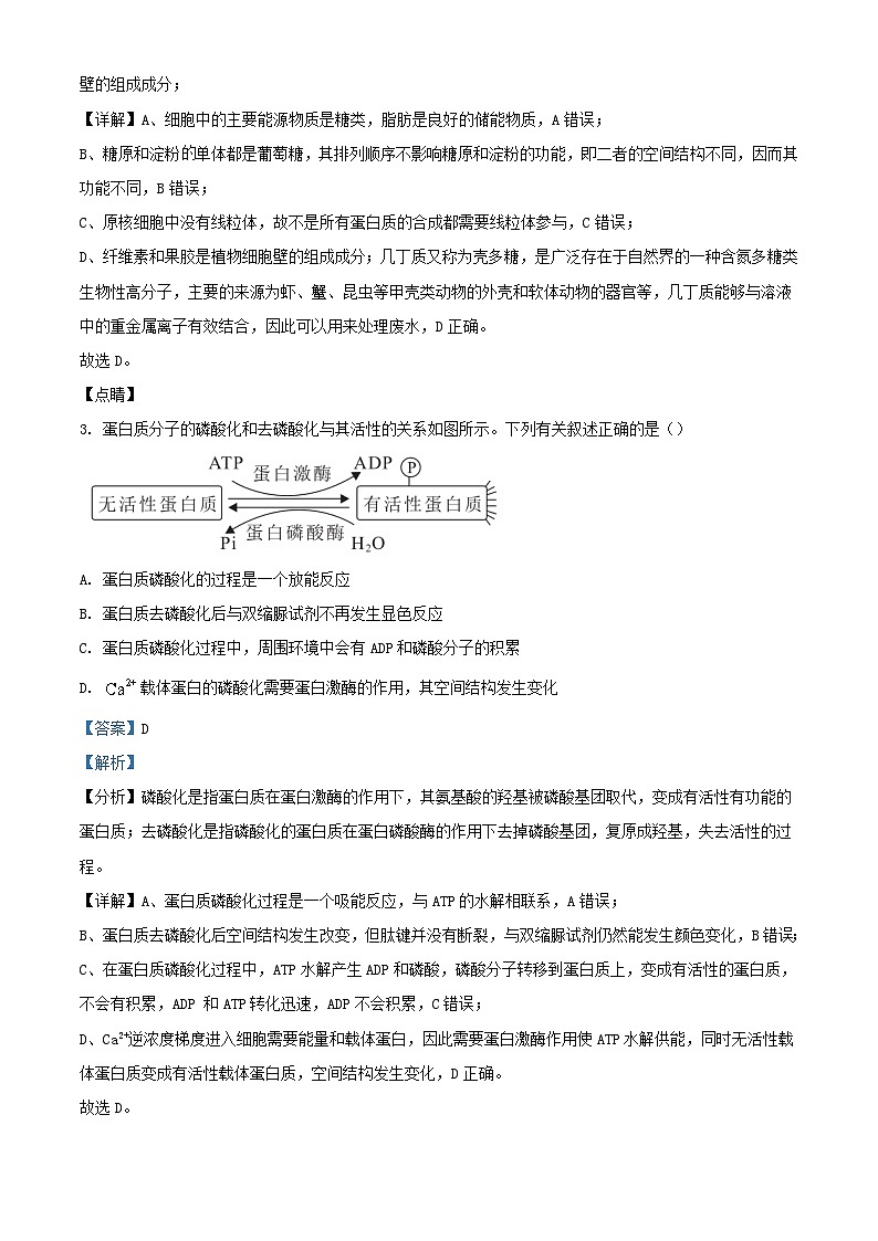 湖南省郴州市2023_2024学年高一生物上学期期末模拟试题含解析第2页