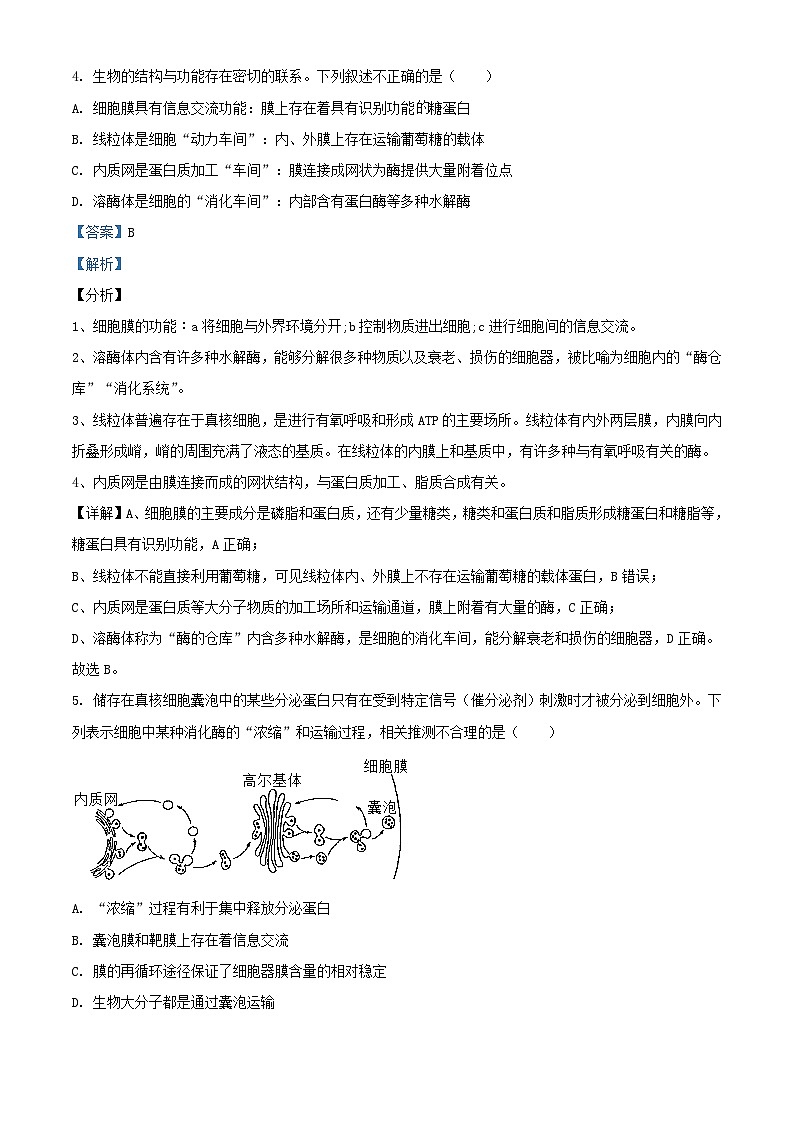 湖南省郴州市2023_2024学年高一生物上学期期末模拟试题含解析第3页