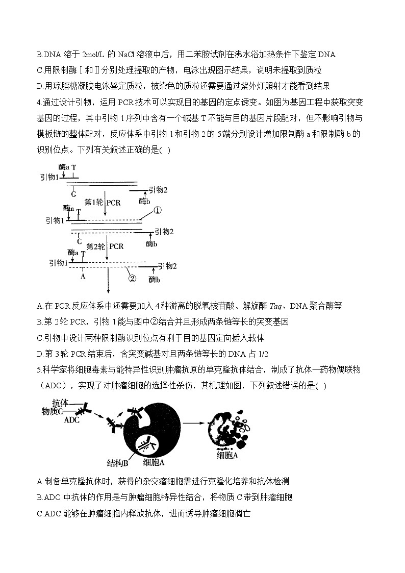 2025届高三生物冲刺高考模块分练试题专题12生物技术与工程（选择题）（Word版附解析）第2页