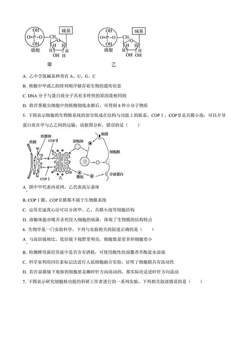 2024～2025学年湖北省省级示范高中高一上期末考试生物试卷(含答案)第2页