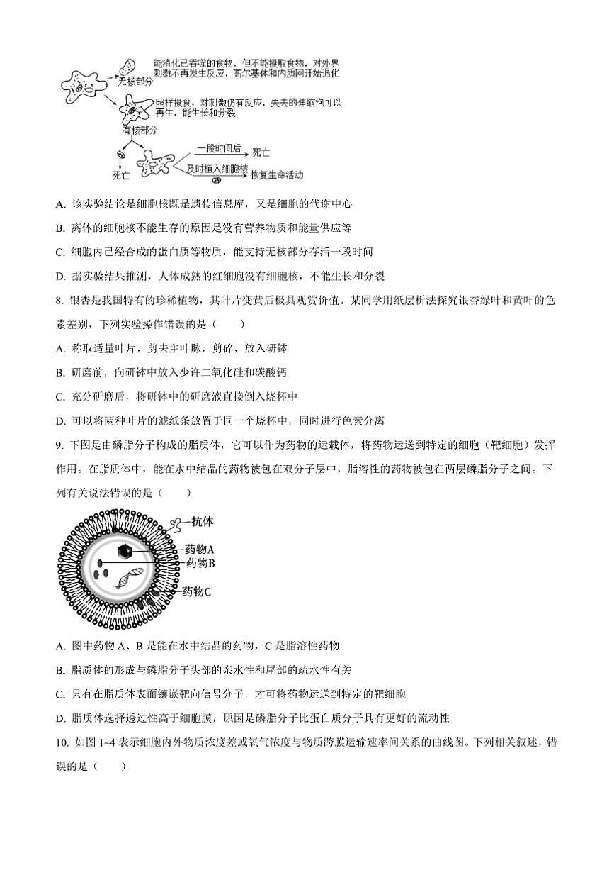 2024～2025学年湖北省省级示范高中高一上期末考试生物试卷(含答案)第3页